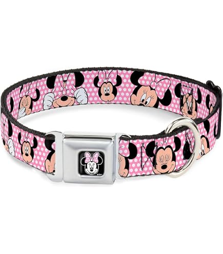 Buckle-Down Sicherheitsgurt-Hundehalsband Mit Texas-Flagge – 2,5 Cm Breit, Für Halsumfang 38–66 Cm, Größe L
