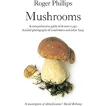 Fungi of Temperate Europe: Volume 1+2 : Laessoe, Thomas, Petersen