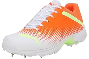 PUMA Men's Spike 22.2 Cricket Shoe