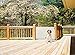 Dream Baby Retractable Gate, Standard