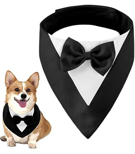 Set 2 Cravatte E Papillon Regolabili Per Cani E Gatti - Eleganti Accessori Per Feste E Matrimoni, Taglia Unica
