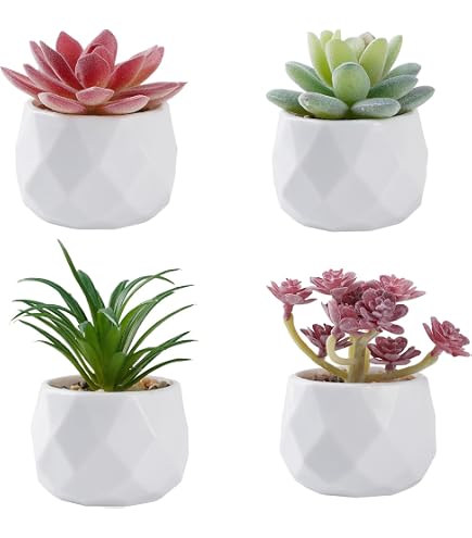 6 Plantes Succulentes Artificielles En Pot - Décoration Réaliste, Pots Mélamine, Hauteur 6,5-11 Cm, Combo 4