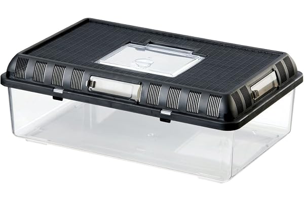 Exoterra Boîte d'Élevage Grand Modèle pour Reptiles et Amphibiens 41x26x 15 cm
