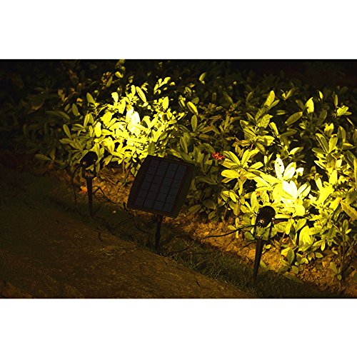 Liqoo® LED Solarleuchte Mini Solarlampe mit 2er Spotlight Solarbeleuchtung Gartenleuchte Wasserdicht IP65 für Outdoor Flur LED Solarstrahler - 2