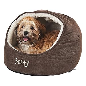 bunty pet carrier