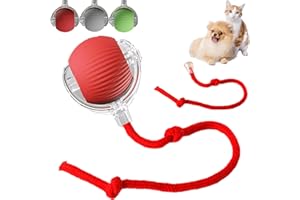 SUNSHINE SMILE Interaktiver Rolling Ball - Hundespielzeug Mit Schnur, Automatisch Rollend für Kleine Hunde, Katzenspielzeug Elektrisch USB Aufladbar, für Katzen und Hunde