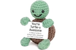 deegbbyi Tartaruga Positivo, Adorabile Tartaruga in Crochet Positivo, Supporto Emotivo, Decorazione Ispiratori per Animali All'uncinetto, per Donne e Uomini Regalo Motivazionale
