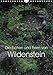 Produktbild Die Eichen und Feen von Wildenstein (Wandkalender 2019 DIN A4 hoch): Ein Eichenwitwald im Lauf der Jahreszeiten und seine seltsamen Feen (Monatskalender, 14 Seiten ) (CALVENDO Natur)