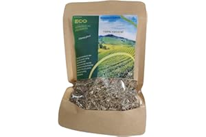 BORUNDIL Cicoria, Pianta di cicoria, Caffè di cicoria, Sostituto del caffè, Infuso naturale, Alternativa al caffè, Cicoria in polvere, Cicoria tostata, pianta cicoria.