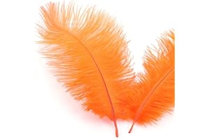 DUORIES Lot de 20 plumes d'autruche naturelles de 15 à 20 cm Pour bricolage,attrape-rêves Accessoire de décoration de maison,costume,décoration de table de mariage,fête,chapeau,décoration de vêtements,orange
