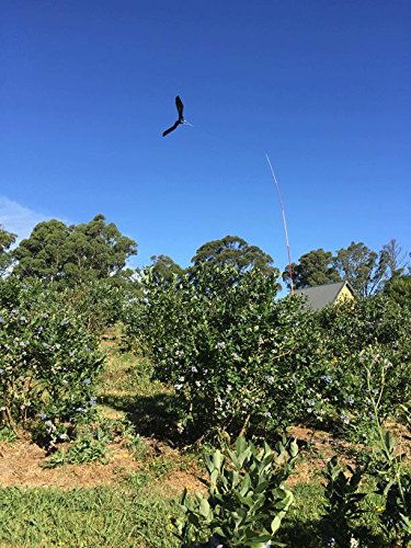 El Mejor Precio Cometa espantapájaros de calidad profesional En línea