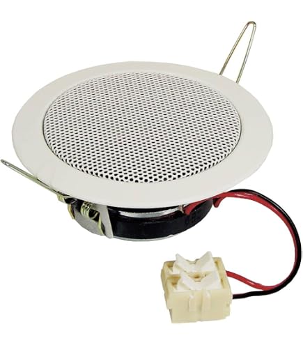 Visaton 2110 – Altoparlante Full-range 10 Cm 20W – Per MP3, IPod – Resistente All'acqua – Colore Bianco - 6