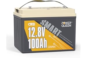 Power Queen 12V 100Ah OTCB Batteria LiFePO4 intelligente, BMS integrato 100A, promemoria SOC batteria al litio, taglio bassa temperatura, batteria LiFePO4 ricaricabile per RV, solare, campeggio
