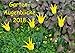 Produktbild Garten-Augenblicke (Wandkalender 2018 DIN A2 quer): Stimmungsvolle Gartenszenen im Wechsel der Jahreszeiten (Monatskalender, 14 Seiten ) (CALVENDO Natur)