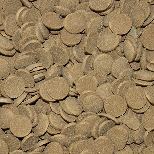 Söll 16250 Organix Super Kelp Tabs – Süß- und Meerwasser Zierfischfutter – Bodenfuttertabletten – 490 ml - 5