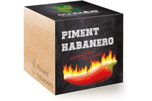 Feel Green Ecocube Piment Habanero, Idée Cadeau (100% Ecologique), Grow-Your-Own/Kit Prêt-à-Pousser, Plantes dans des Cubes en Bois 7.5cm, Produit en Autriche