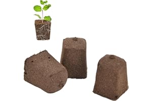 LVIFLOAE 50pcs Growth Plugs Plant Seed Starter Seed Pods,Environment Hydroponics Growing System for Seed Starting Hydroponic and Soil Applications Nutrient Plant