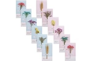 CZAKOMIX 12 Pièces Cartes de Vœux de Fleurs Séchées DIY, Carte de Voeux Fleur Séchée, Fleurs Séchées Carte Postale pour Noël, Anniversaire, Saint-Valentin, Fête des Mères, Invitation(90x160mm)