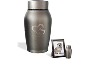 QESSUVNC Ashes Keepsake Urn for Adults, Pets - Small Stainless Steel Waterproof Urn for Dogs, Cats, Humans - UK