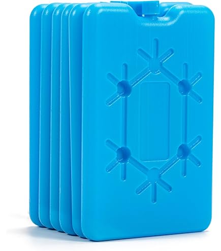 Kyzuzia Lot De 8 Blocs Réfrigérants Fins 200 Ml – Pour Sac Isotherme, Glacière, Camping Et Voyages