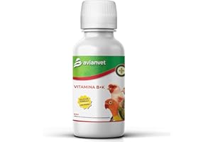 AVIANVET Vitamina B+K | Suplemento alimenticio líquido para pájaros | Recuperación Post-Tratamiento | con cloruro de Colina y aminoácidos 100 ml