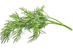 CLICK AND GROW Click & Grow, Ricambio Vasi di Terriccio di Aneto, Confezione con 9 Capsule