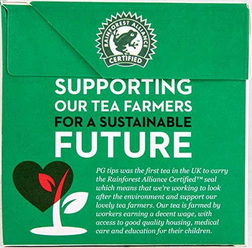 PG-tips-40s-Pyramid-Teabags-116g