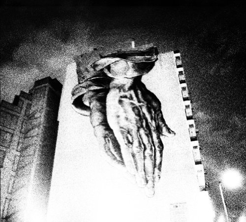 Preisvergleich Produktbild Oiseaux-Tempete