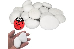 FEADBYT Ciottoli, pietre di fiume lucide, ciottoli lucidati, pietre da giardino bianche grandi, per paesaggistica, decorazione per la casa, 1 kg (bianco, 4 – 8 cm)