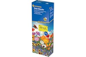 Kiepenkerl Blumensamen-Mischung Tempo Blütenflor 4928 – Einjährige Blumenmischung, Nahrungsquelle für Insekten, Wuchshöhe 50-80 cm, Wildblumenwiese, schnelle Blüte nach 40-50 Tagen