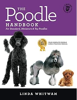 poodle grooming guide