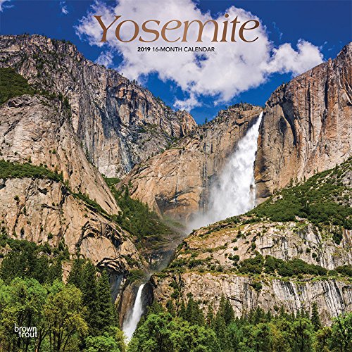 Yosemite - Yosemite National Park 2019 - 18-Monatskalender mit freier TravelDays-App (Wall-Kalender)