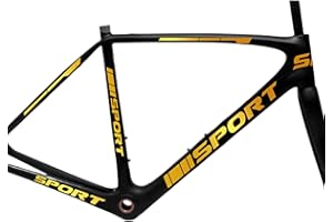 DualColorStampe Set 15 Adesivi Stickers Decal Telaio Bici Bicicletta adesivi telaio MTB Universale Protezione COD. B0169 (ORO 91)