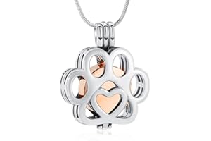 Minicremation Bijou de crémation pour animal de compagnie - Collier pour cendres - Collier pour cendres d'animaux de compagnie - Collier en acier inoxydable - Cendres commémoratives pour femmes et