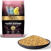 Gold Wings Premium Yavru Muhabbet Kuşu Yemi 1 Kg