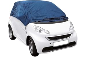 PAT EUROPE B.V. Ganzgarage Smart ForTwo + Aufbewahrungsbeutel (Autogarage Abdeckung 215 x 146 x 55 cm)