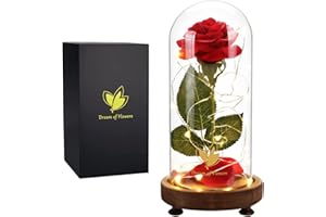 DREAM OF FLOWERS Cadeau de Roses pour la Fête des Mères, la belle et la bête rose, dôme en verre rose éternelle avec lumière LED, cadeau unique pour petite amie épouse maman, Cadeaux de Noël pour les femmes