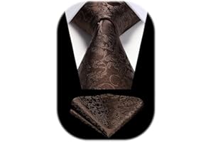 HISDERN Cravate Homme Paisley Cravates en Soie pour Hommes Mariage Cravatte et Pochette Set