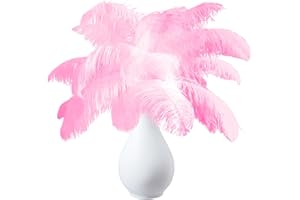 JOYRAY 20PCS Pink Ostrich Feathers 8-10inch Natural Ostrich Plume Set for Home Office Room Wall Table Vase Holiday Reception Décor Wedding Masquerade Mask Party Birthday Ornament Crafts DIY Decoration Use