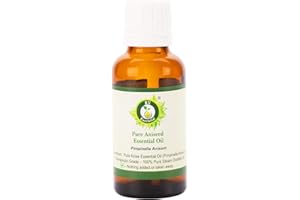 R V Essential Huile Essentielle Aniseed Pur 100ml (3.38oz) - Pimpinella Anisum (100% Pur et naturelle Distillée vapeur) Pure Aniseed Essential Oil