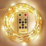 FOXNOV Waterproof 33Ft 100 LED Copper Fairy String Lights, Warm White, IR Receiver&Power Adapter 2 in 1