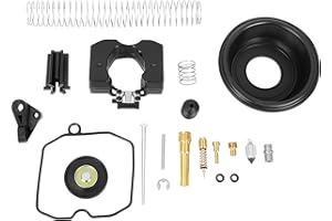 F FIERCE CYCLE Motocicleta Carburador Reparación Reconstrucción Juego