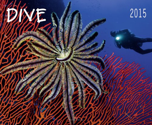 Dive 2015