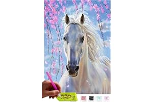 MISHBAY Diamond Painting Cheval - Peinture Diamant 30x40cm - Diamond Painting Adulte Chevaux - 5D Diamond Painting Kit Complet - DIY Point de Croix Deco
