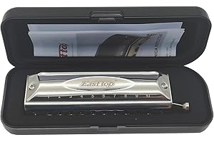 YUEKO Armónica cromática profesional de 10 agujeros, 40 tonos, llave de do, instrumentos musicales para adultos, armónicas para adultos, jugadores profesionales, estudiantes y principiantes (plata)