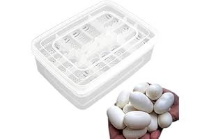GALEYYU Boîte d'incubateur d'œufs de Reptiles | Incubateur d'œufs Transparent à 16 grilles, boîte d'incubation, boîte d'éclosion, étui d'éclosion pour lézards Gecko, crinière de Lion