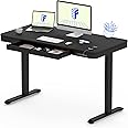 FLEXISPOT Comhar EW8B Electric Standing Desk Home Office Electric Height Adjustable Standing Desk Sit Stand Desk with 120 * 60cm Black Wood Top (Black Frame+Black Wood Top)