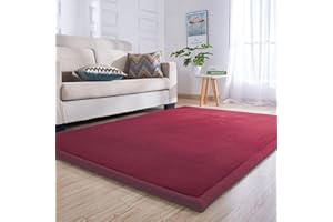 ‎LOARTEE Loartee Samtmatte Teppich Matte,Kinderteppich Krabbeldecke Groß,3cm Dick Krabbelteppich,Gymnastik Teppich,für Baby,Kinderzimmer,Schlafzimmern(Traubenrot,150x200cm)