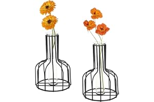 2 stycken svarta blomvas med metallram, klart glas, provglas, dekorativ, små knoppvaser, presenter för bröllopsdekoration, bo