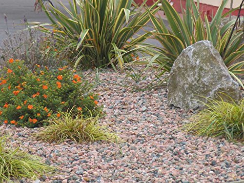 rockinnature 20 mm Rosa Kieselstein 20 kg Stein Garten Deko - 2